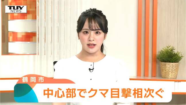 「こんな街中まで来た話はない」鶴岡市の中心部でクマ目撃相次ぐ 警察や市が注意呼びかけ…夕方に1頭を駆除(山形)|TBS NEWS DIG