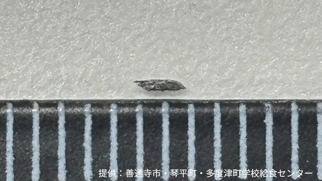 コッペパンに金属片が付着 検品で見つかる けが人はなし 混入の原因を調査中【香川】|TBS NEWS DIG