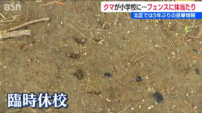 五泉市の小学校敷地内でクマ目撃 臨時休校に【相次ぐ目撃情報】新潟市北区や聖籠町の東港1丁目でも|TBS NEWS DIG