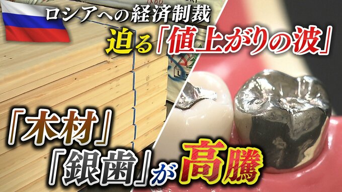 『ロシアへの経済制裁』で"木材"の価格高騰に拍車？材木店が困惑..."銀歯"の原料も高騰で「虫歯治療の負担が増加へ」企業や生活へ与える「値上がりの波」|TBS NEWS DIG