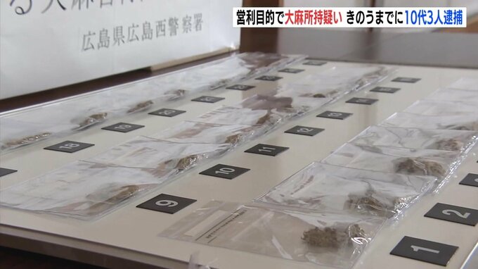 乾燥大麻25袋　営利目的で所持疑い　きのうまでに10代の３人を逮捕　警察が押収品を公開|TBS NEWS DIG