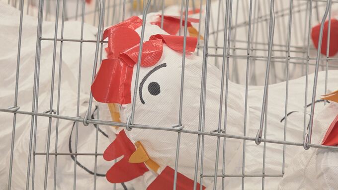 渡り鳥が飛来する10月…鳥インフルエンザの警戒シーズン迎え大規模な対策訓練　防護服の着脱から殺処分の手順まで確認　富山|TBS NEWS DIG