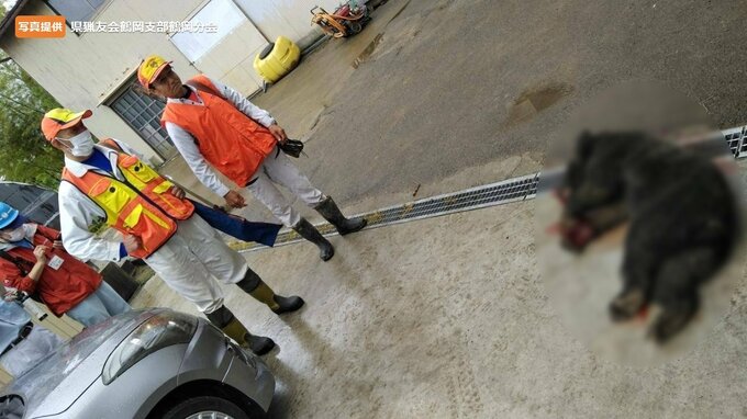 民家の倉庫にクマが侵入 猟友会が駆除　|　山形のニュース│TUYテレビユー山形