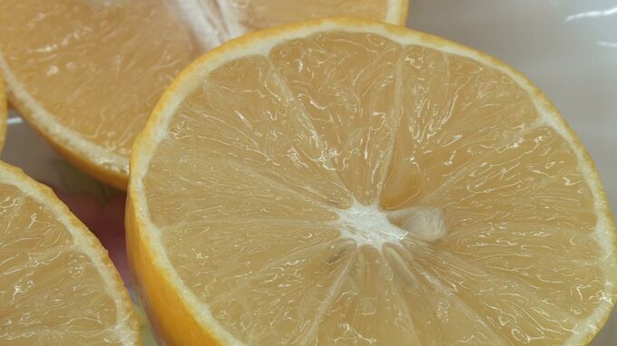 皮が薄くてジューシーな味わい やんばるで生産本格化するマイヤーレモン NZ原産で果汁が豊富|TBS NEWS DIG