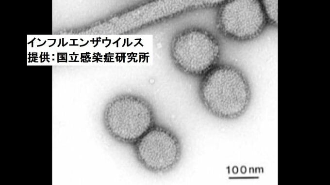 “インフルエンザ” 2019年以来、3シーズンぶり「流行期」に…乳幼児施設での集団発生（15人）の報告も【高知】|TBS NEWS DIG