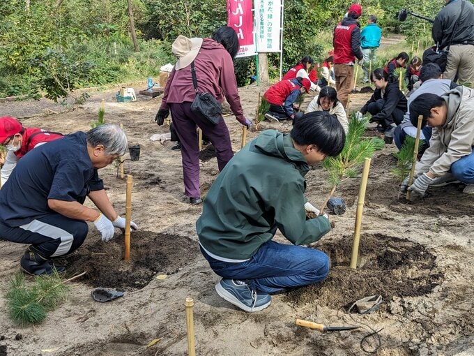 「産・学・官」初の連携でクロマツ植樹 新潟市西海岸公園に10年かけ「けんしんの森」  | 新潟のニュース・天気|BSN NEWS|BSN新潟放送