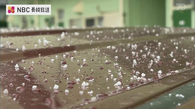 【長崎地方気象台】「初雪」を観測　|　長崎のニュース | 天気 | NBC長崎放送