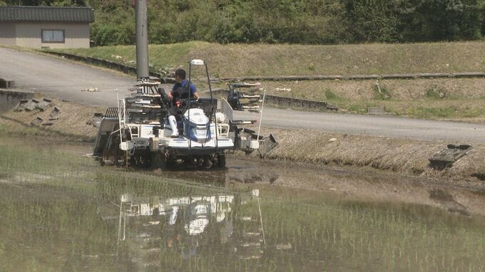 中東情勢の緊迫化による農業への影響 燃料費は前年比27%増のコメ農家も 肥料や除草剤の調達にも懸念|TBS NEWS DIG