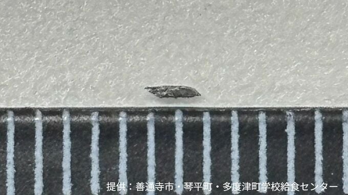コッペパンに金属片が付着　検品で見つかる　けが人はなし　混入の原因を調査中【香川】|TBS NEWS DIG