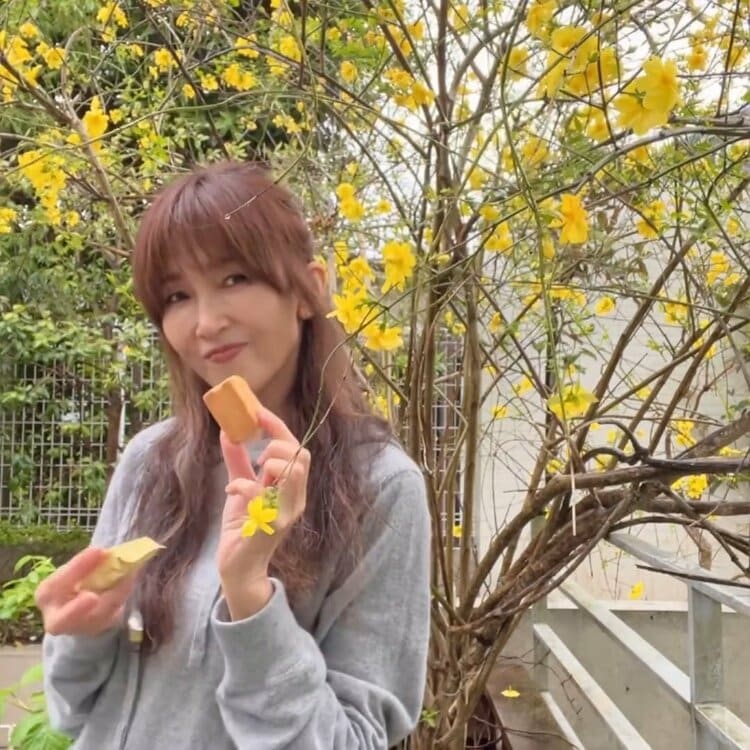 工藤静香】お気に入りのパイナップルケーキを紹介「食べるとなんだか