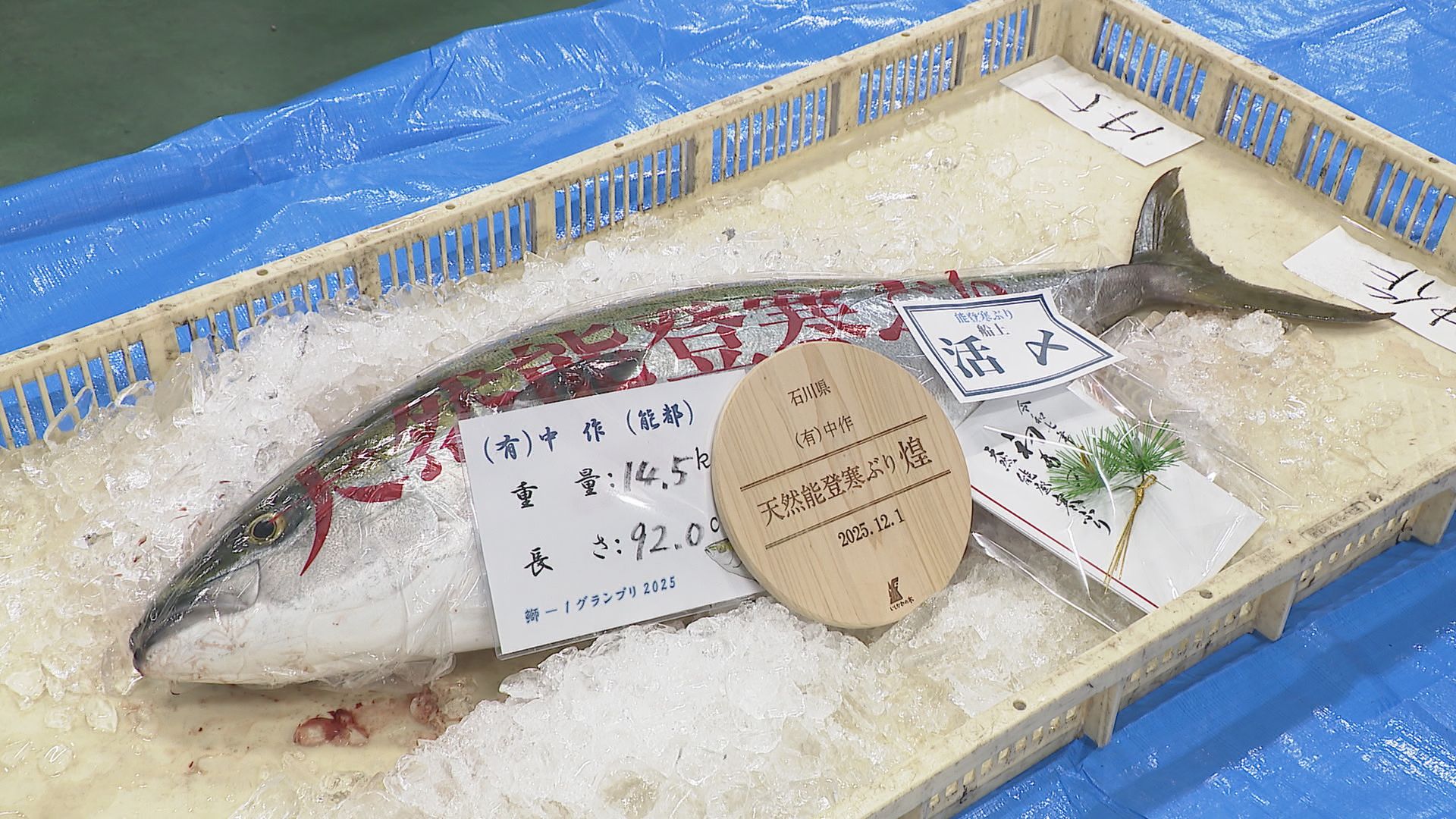 【大人気商品！やっと再入荷！】白に黒のプリプリ金魚　高級感溢れる半幅帯 大人気商品！やっと再入荷！】白に黒のプリプリ金魚高級感溢れる半幅帯