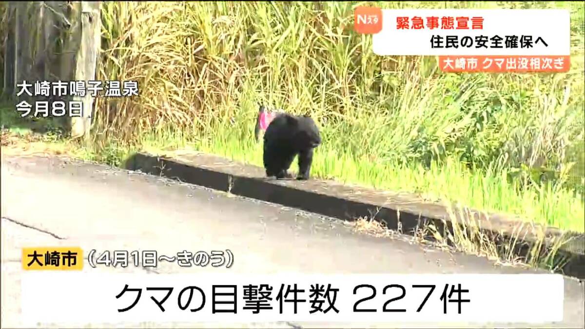 くまになります。 くま クマ 熊 ベアー 9 (PASH!コミックス) | せるげい, くまなの, 029