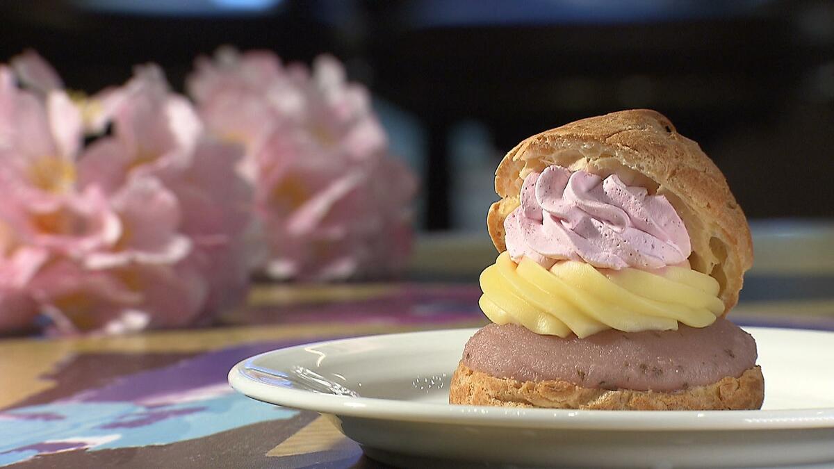 お花見シーズン到来！大阪城公園のバーベキュー会場拡大