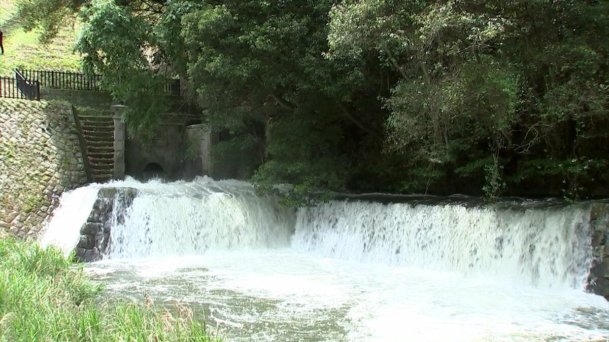 初夏の風物詩　まんのう町のため池「満濃池」で田植えシーズン到来告げる “ゆる抜き”　毎秒5トンの水が勢いよく【香川】