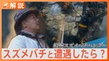 密着スズメバチハンター 6月に入り駆除依頼増、遭遇したらどうする?【Nスタ解説】|TBS NEWS DIG