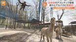 「近場で過ごしたい」今年のGWは“日帰り旅”が人気 手軽に行ける新スポットが続々誕生|TBS NEWS DIG