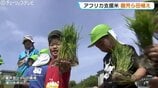 「いつの間にか、ここもここも…」食育を兼ねた国際協力 アフリカ・マリ共和国の子どもたちを救う支援米の田植え 富山・滑川市 | 富山のニュース|天気・防災|チューリップテレビ