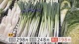 白菜は3割安に…鍋恋しい季節に朗報 白菜やネギがお手頃価格に 災害なく流通量が安定 安値は11月末まで続くか 富山|TBS NEWS DIG