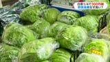 レタス1玉378円 ハクサイ1/4で302円…野菜高騰なぜ?手ごろな野菜は? 鹿児島|TBS NEWS DIG