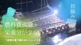 気温２度の寒さの下、有明海で養殖ノリ「初摘み」～今季は１３億枚生産へ　|　福岡のニュース｜RKB NEWS｜RKB毎日放送