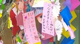 「ご飯食べて大きくなる」「運動会で頑張る」七夕を前に、園児が願い事を発表 大分 | 大分のニュース|OBS NEWS|大分放送