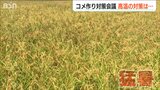 「猛暑に耐えられる稲を育ててほしい」去年は過去最低だった新潟の一等米比率 今年は適切な肥料と水管理の徹底を 新潟米対策会議|TBS NEWS DIG