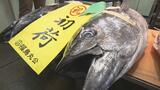 本マグロ35万、果物の宝船20万!市場で初競り 青果の価格高騰、今年は落ち着く見込み 福島|TBS NEWS DIG