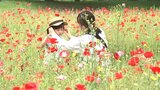 1万5000本のポピーが今週いっぱい見頃 岩手・雫石町の御所湖広域公園|TBS NEWS DIG