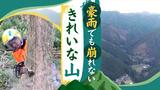 「何度電話しても出ない」山を愛した兄は6年前に亡くなった 弟は豪雨でも崩れない山をつくる 九州北部豪雨 | 福岡のニュース|RKB NEWS|RKB毎日放送