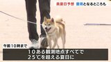 連休最終日は真夏日予想 夜のはじめ頃まで雷雨の可能性も… 富山|TBS NEWS DIG