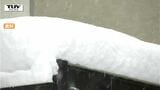 すでに100件以上発生し4人が死亡... 県内で雪害事故相次ぐ 県が雪害事故に注意を呼びかけ(山形) | 山形のニュース│TUYテレビユー山形