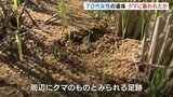 クマに襲われたか 富山市で70代女性死亡 頭やあごにひっかかれたような傷・・・周辺には小学校も 富山|TBS NEWS DIG