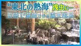 【動画配信中】「東北の熱海」と呼ばれた温泉街の“庭園露天風呂”で日帰り入浴「いつまでも熱い」そのワケは?【青森の温泉・銭湯へドライ風呂32軒目】 | 青森のニュース│ATV NEWS│青森テレビ