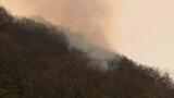今治・大三島で発生した山火事 発生から1週間経ち鎮火 約13.5ヘクタールを焼失 | 愛媛のニュース - Nスタえひめ|あいテレビは6チャンネル