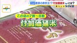 "儲からない"農家の救世主？注目の付加価値米　パラパラ＆もっちり「プリンセスサリー」は通常の２倍の価格！"特別な米"で生き残り模索|TBS NEWS DIG