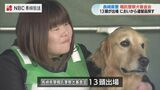 ゴールデンレトリバーなど13頭が嘱託警察犬の審査会に出場 長崎 | 長崎のニュース | 天気 | NBC長崎放送