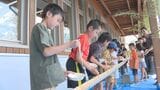 「楽しくて取りすぎておなかいっぱい!」小学生が竹細工とそうめん流し楽しむ | 山口のニュース・天気・防災|tys NEWS|tysテレビ山口