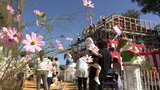 「子ども第三の居場所」 岩手県内初の施設を大槌町に設置 来年2月オープン予定|TBS NEWS DIG