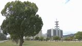山口は猛暑日連続は22日でようやくストップ 暑さ一服 山口県内はあすにかけ大気不安定|TBS NEWS DIG