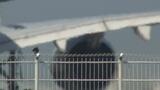 鳥が航空機に衝突する「バードストライク」 那覇空港での発生数は全国2位|TBS NEWS DIG