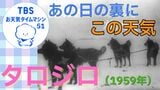 極限の気象が紡いだ奇跡 タロ・ジロと南極の空【気象予報士・森朗のお天気タイムマシン】|TBS NEWS DIG