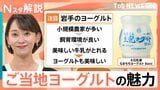 「食べると季節を感じる」機能性・ご褒美系の次は「ご当地ヨーグルト」に注目 牧場ごとの味も魅力【Nスタ解説】|TBS NEWS DIG