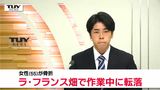 体を支えるため手をかけていた枝が折れる  ラ・フランス畑で作業中の女性が地面に転落し胸の骨を折るなどの大ケガ（山形・東根市）　|　山形のニュース│TUYテレビユー山形