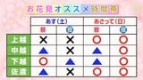 開花から3日後で新潟市の桜は『満開』高田城址公園では“花火”も満開 お花見に適したタイミングは？新潟県|TBS NEWS DIG