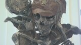「震えがきました」　戦争の悲惨さを訴える造形作品の展示会　兵士の骨格や衣服を忠実に鉄で再現　山梨市役所|TBS NEWS DIG