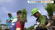 「いつの間にか、ここもここも…」食育を兼ねた国際協力　アフリカ・マリ共和国の子どもたちを救う支援米の田植え　富山・滑川市　　|　富山のニュース｜天気・防災｜チューリップテレビ