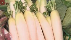 【速報】12月は「だいこん」「レタス」「きゅうり」が安い 野菜価格の見通し 農水省| TBS CROSS DIG with Bloomberg