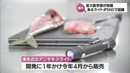 アニサキスライト 4日で1800万回再生「アニサキスライト」宮崎大学医学部寄生虫学のSNS