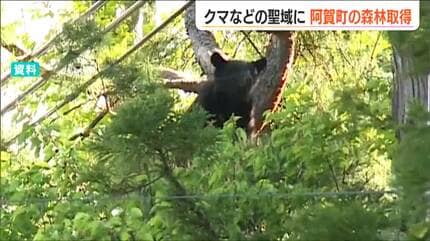 熊の散歩 GR-06_05.jpg