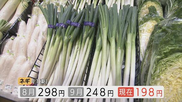 白菜は3割安に…鍋恋しい季節に朗報 白菜やネギがお手頃価格に 災害なく流通量が安定 安値は11月末まで続くか 富山 | 富山のニュース|天気・防災|チューリップテレビ